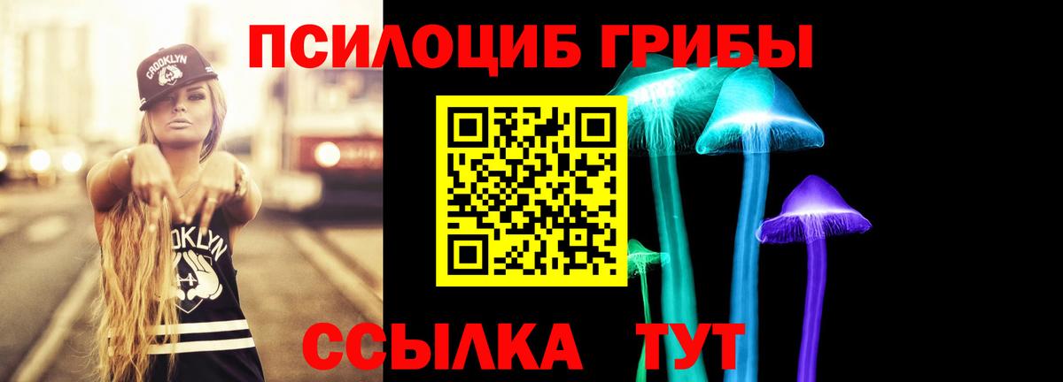 Элиста  Галлюциногенные грибы GOLDEN TEACHER  Вход с VPN 